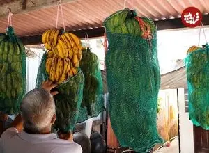 ببینید| غذای خیابانی در مالزی؛ تهیه یک غذای خاص با تارو و موز در پنانگ