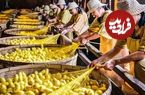ببینید؛ فرآیند پرورش کرم ابریشم و تولید نخ و پارچه ابریشمی