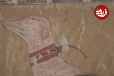 کشف نام یک «سگ مصری» که 3500 سال قبل زندگی می‌کرد