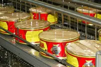 (ویدئو) تن ماهی چگونه در کارخانه تولید می شود؟