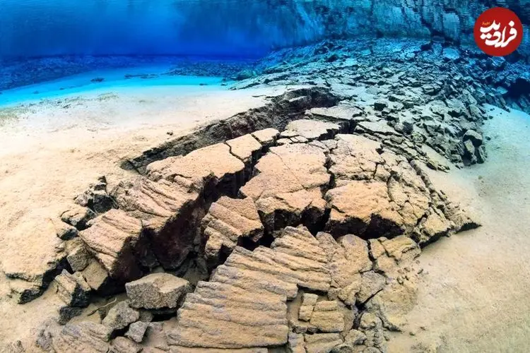 موجوداتی که میلیون‌ها سال است در اعماق زمین به خواب رفته‌اند