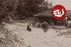 عکس سفر زمان؛ تصویر زیبای یک کلبه در جادۀ جنگلی در گیلان؛ 140 سال قبل