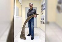 شاخ رکوردشکنِ کرگدنِ منقرض‌شده بعد از 10 هزار سال از زیر خاک‌های یخ‌زده بیرون آمد
