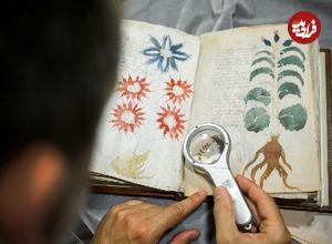 ببینید؛ راز ۵۰۰ ساله؛ نسخه خطی وینیچ، کتابی که با کلمات بیگانه نوشته شده است