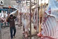 (ویدئو) فرآیند پرورش هزاران گاو در افغانستان و فرآوری گوشت گاو از نمای نزدیک