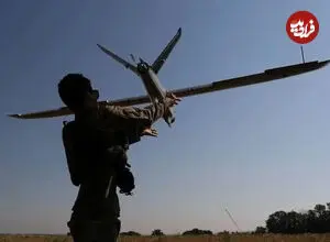 ببینید| پرتاب سنگ سمت پرنده مرگبار
