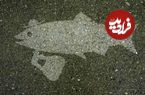 تصاویر؛ هنر خیابانی؛ نقاشی‌های خلاقانه‌ای که فقط «زیر باران» دیده می‌شوند