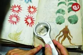 ادعای تازه دربارۀ «مرموزترین کتاب جهان»؛ یک رمزنگاری قرون وسطایی؟