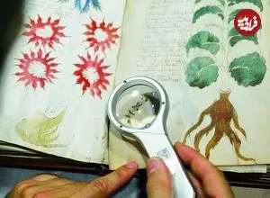 ادعای تازه دربارۀ «مرموزترین کتاب جهان»؛ یک رمزنگاری قرون وسطایی؟