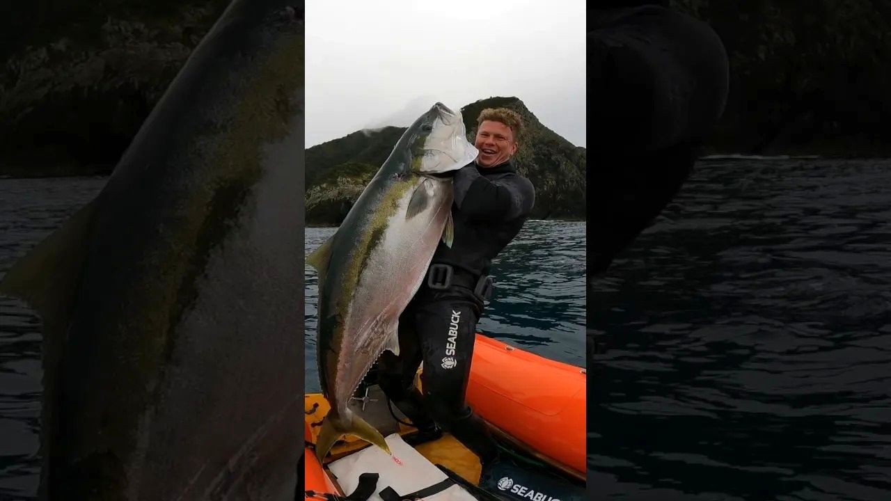 (ویدئو) ماهیگیری زیر آب؛ غواص خوش شانس یک شاه ماهی غول پیکر شکار کرد