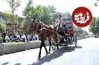 عکس| سفر زمان؛ عبور «واگن اسبی» از یکی از خیابان‌های تهران؛ یک قرن قبل