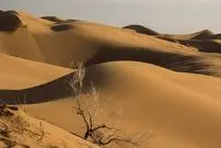 (ویدئو) پدیدار شدن دریاچه در دل کویر مرنجاب