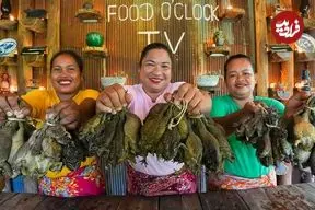 ببینید| غذای روستایی در سنگاپور؛ صید قورباغه از مزرعه و پخت غذا با آن ها