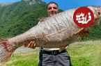 ببینید؛ غذای روستایی در آذربایجان؛ کباب ماهی کپور نقره ای در تنور در طبیعت