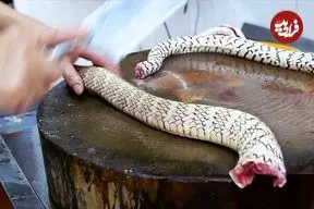 ببینید| غذای خیابانی در چین؛ پخت سوپ با مار در گوانگ دونگ