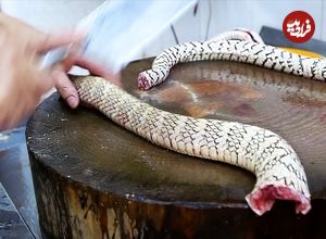 ببینید| غذای خیابانی در چین؛ پخت سوپ با مار در گوانگ دونگ