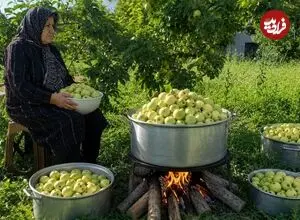 ببینید| غذای روستایی در ایران؛ برداشت سیب تازه از باغ و تهیه کمپوت با آن