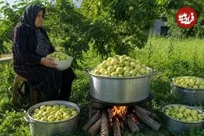 ببینید| غذای روستایی در ایران؛ برداشت سیب تازه از باغ و تهیه کمپوت با آن