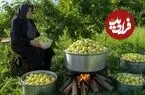 ببینید| غذای روستایی در ایران؛ برداشت سیب تازه از باغ و تهیه کمپوت با آن
