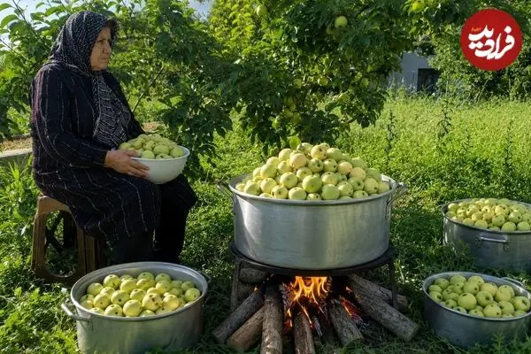 ببینید| غذای روستایی در ایران؛ برداشت سیب تازه از باغ و تهیه کمپوت با آن