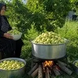 ببینید| غذای روستایی در ایران؛ برداشت سیب تازه از باغ و تهیه کمپوت با آن