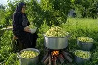 ببینید| غذای روستایی در ایران؛ برداشت سیب تازه از باغ و تهیه کمپوت با آن