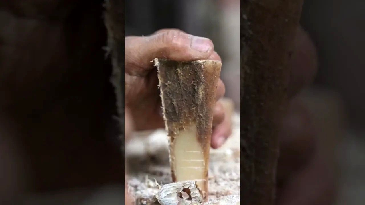 (ویدئو) ببینید جلال الدین اختر هندی چگونه استخوان بوفالو را به اثر هنری تبدیل می کند