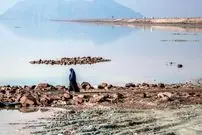 حال دریاچه ارومیه چطور است؟