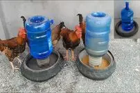 (ویدئو) نحوه تبدیل چرخ قدیمی موتور و بطری به یک دانخوری برای مرغ و خروس ها
