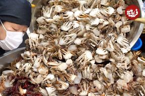 ببینید؛ غذای خیابانی در کره؛ پخت غذاهای مختلف با ماهی، صدف و بادمجان در سئول