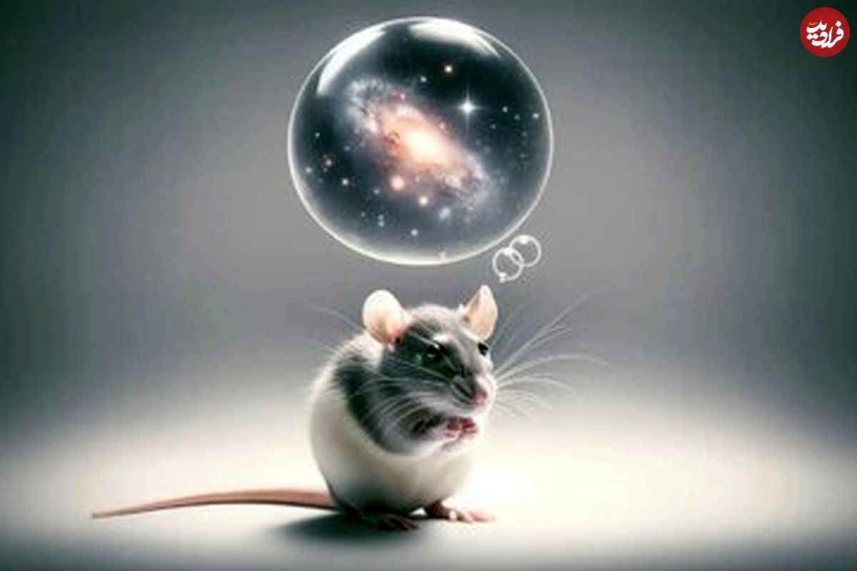 موش‌ها می‌توانند مثل انسان خیال‌پردازی کنند!