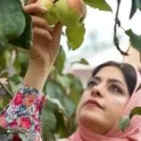 ببینید| غذای روستایی در ایران؛ تهیه یک میان وعده سنتی با سیب ترش و گشنیز