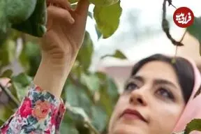 ببینید| غذای روستایی در ایران؛ تهیه یک میان وعده سنتی با سیب ترش و گشنیز