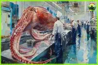 (ویدئو) ببینید چگونه صدها تن ماهی مرکب غول پیکر صید و پردازش می شود