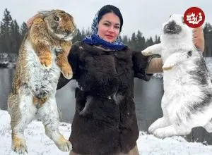 ببینید| غذای روستایی در اوکراین؛ پخت یک غذای خاص با خرگوش در هوای برفی 