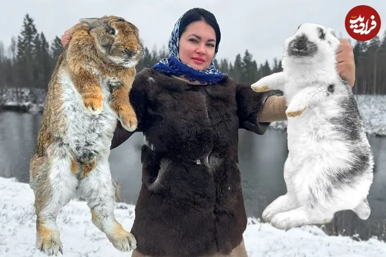 ببینید| غذای روستایی در اوکراین؛ پخت یک غذای خاص با خرگوش در هوای برفی 