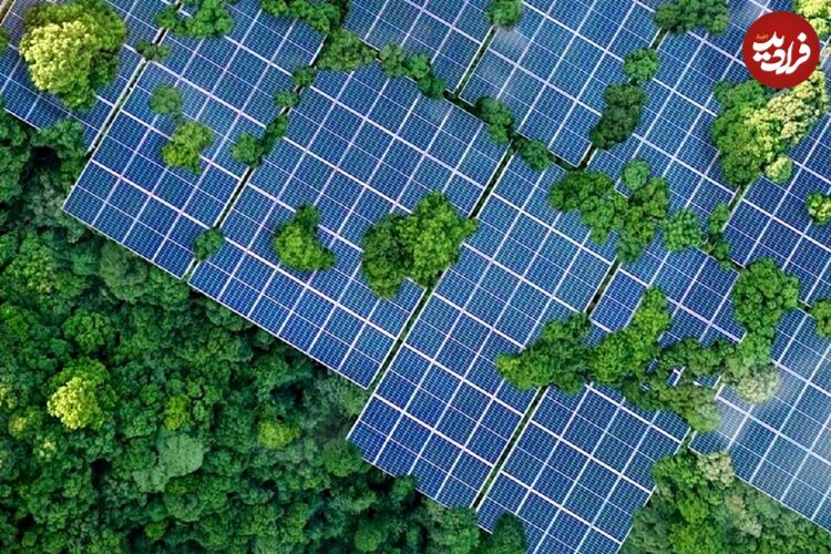عکس؛ درختان خورشیدی، راهکاری نوین برای تولید برق پاک در جنگل‎ها