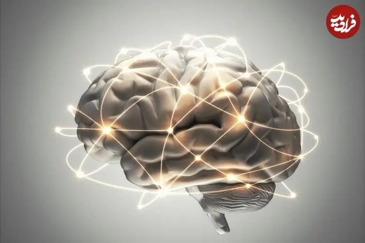 نتایج یک پژوهش؛ کمبود ویتامین B۱۲ به مغز آسیب می‌زند