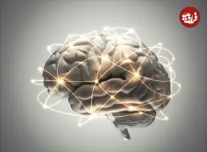 نتایج یک پژوهش؛ کمبود ویتامین B۱۲ به مغز آسیب می‌زند