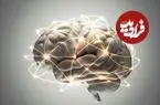 نتایج یک پژوهش؛ کمبود ویتامین B۱۲ به مغز آسیب می‌زند