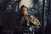 تصاویر؛ ۷ سه‌گانه رزمی برتر و دیدنی تاریخ سینما؛ از The Street Fighter تا Shaolin Temple