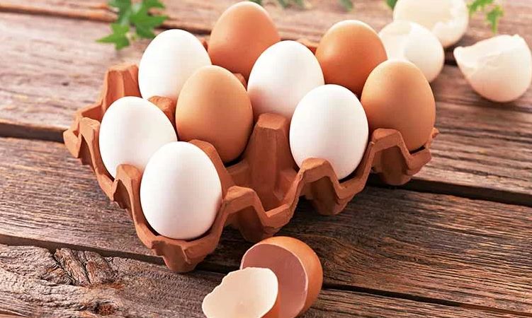 ۴ روش ساده برای تشخیص تخم مرغ سالم از فاسد