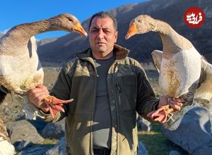 ببینید| غذای روستایی در آذربایجان؛ کباب کردن غاز در طبیعت
