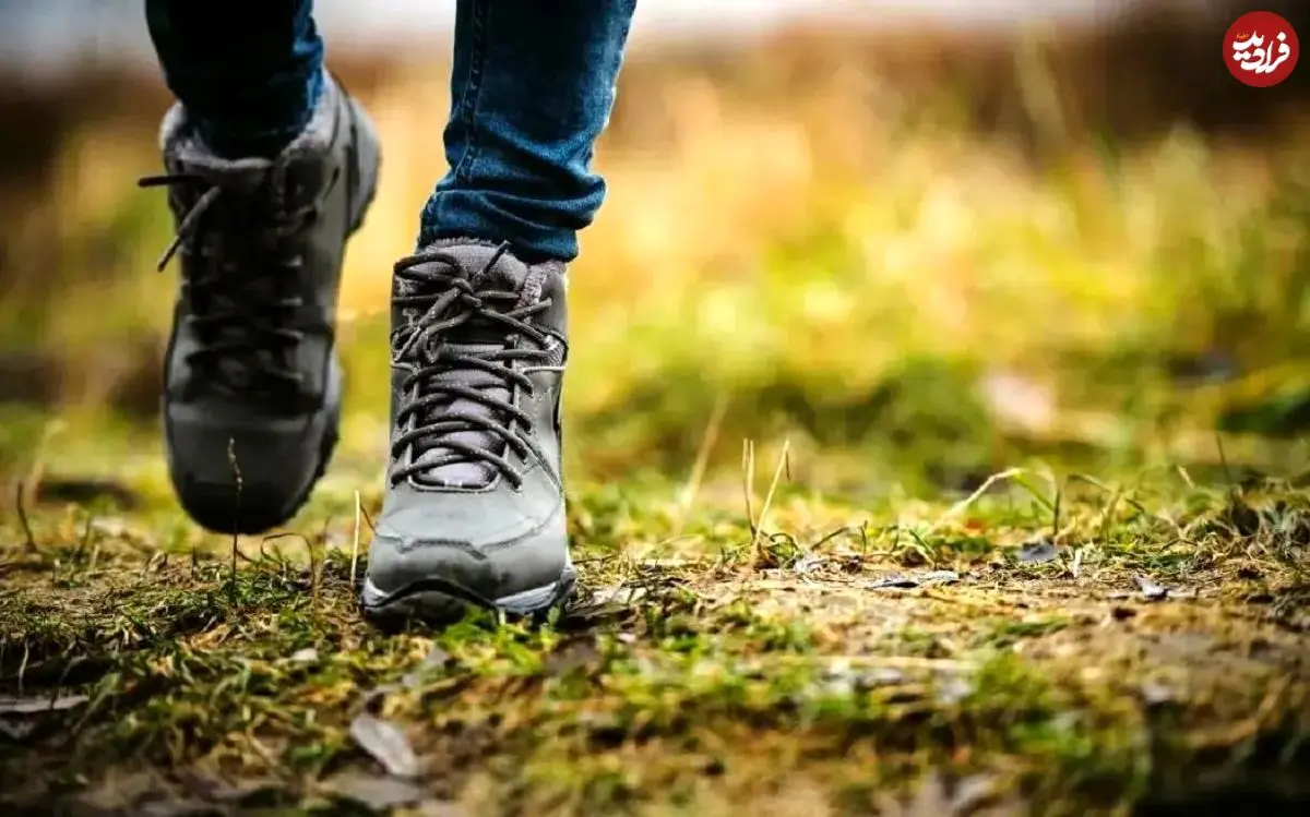 چگونه ضرر نشستن زیاد را جبران کنیم؟ ۳ راهکار ساده متخصصان قلب