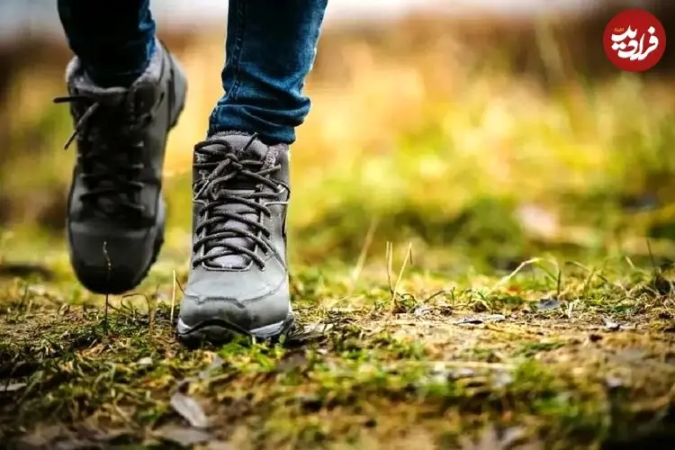 چگونه ضرر نشستن زیاد را جبران کنیم؟ ۳ راهکار ساده متخصصان قلب