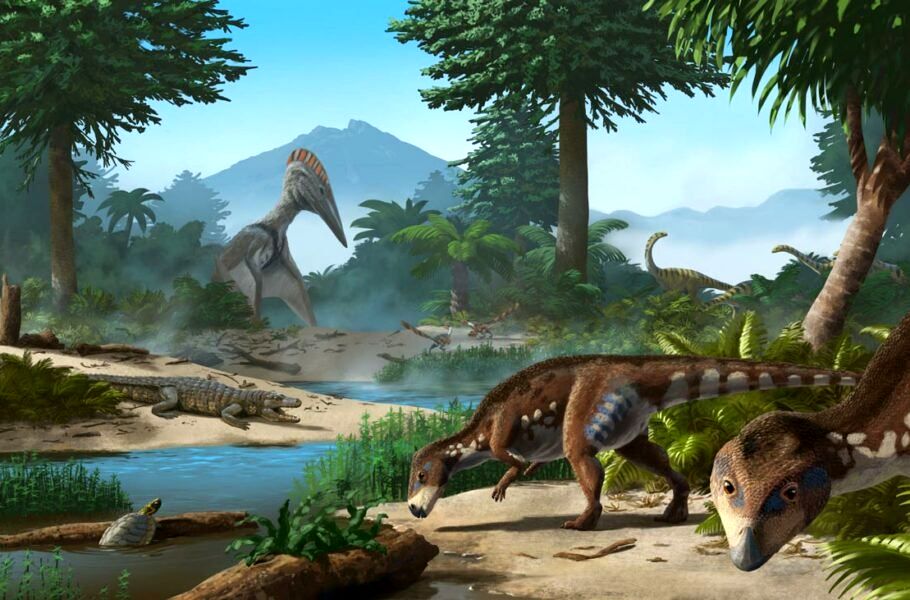 (عکس) محققان گونه جدیدی از دایناسورها را در رومانی کشف کردند
