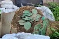 دو کوزه پر از سکّه‌های روم باستان؛ بزرگترین گنج ولز پیدا شد