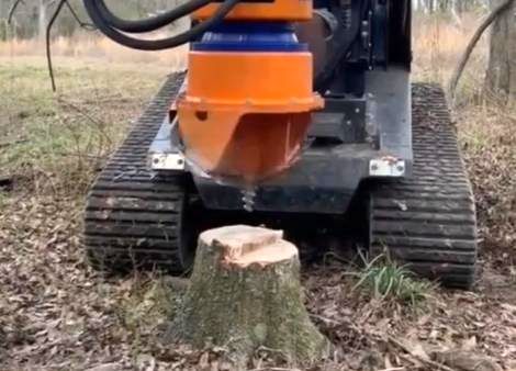 ( ویدیو) محو کردن کنده درخت با این دستگاه پیشرفته 