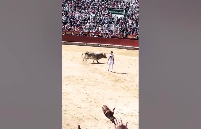 (ویدئو) حرکت فوق حرفه ای گاوباز حتی گاو نر خشمگین را هم انگشت به دهان کرد!