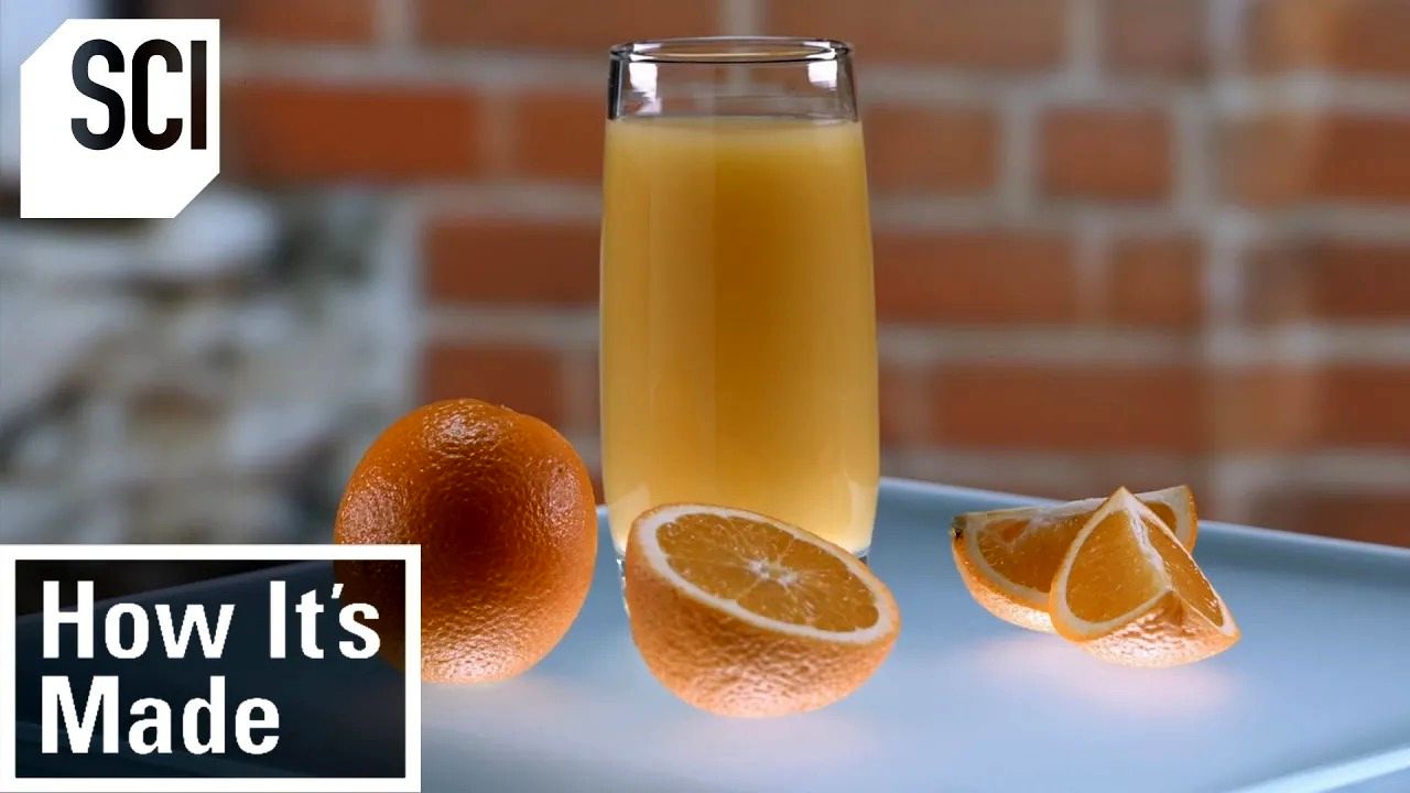(ویدئو) برداشت تماشایی پرتقال و فرایند تهیه آبمیوه طبیعی پرتقال در کارخانه